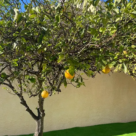 Casa de hóspedes La Dulce Soleada *